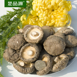 楚品源大香菇随州农家冬菇干货直径4-5厘米干冬菇肉厚干蘑菇500g