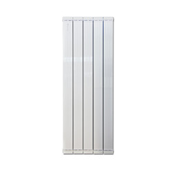 圣劳伦斯 双水道暖气片 铜铝复合家用防熏墙暖气水暖散热器114*60