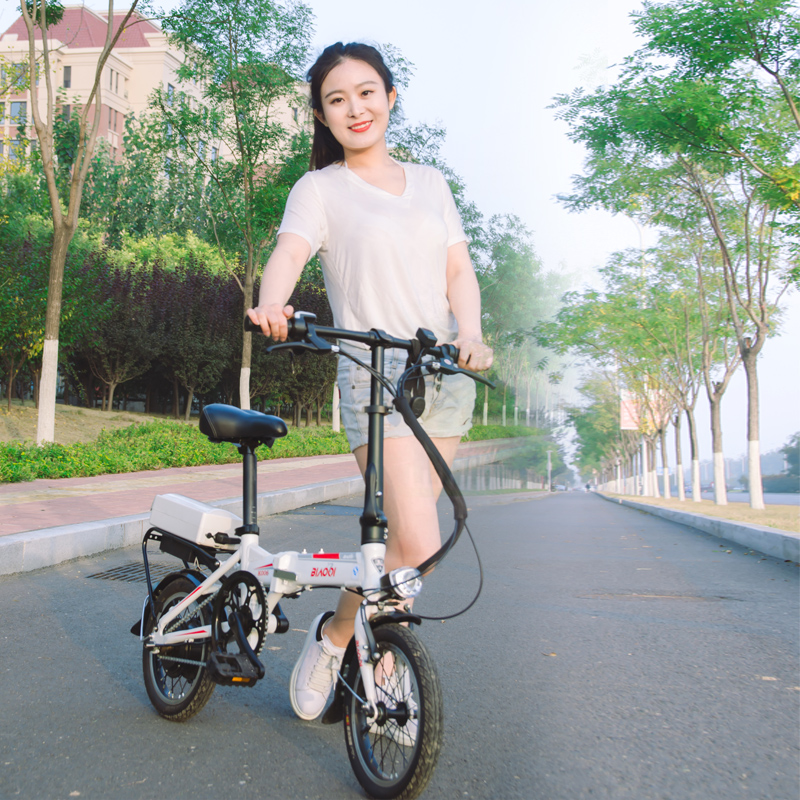 宝岛电动车电瓶车小型代驾单车自行车迷你型可折叠车成人女代步车